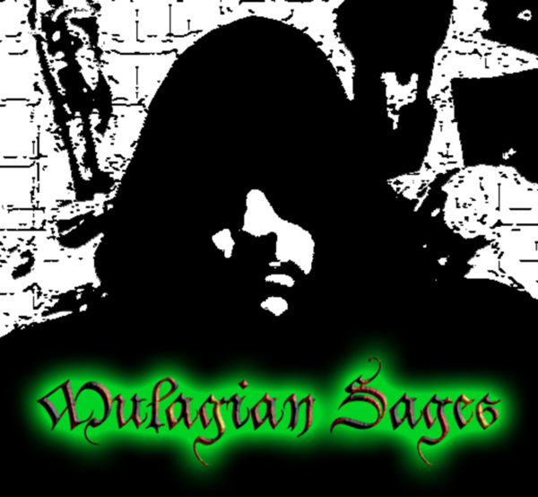 Ask a Sage a Question