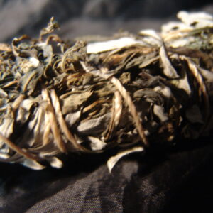 Stop Negativity / Compulsion / Addiction Spell Incense