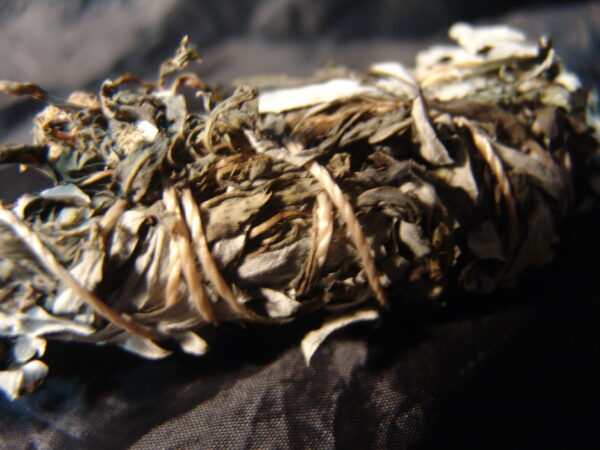 Stop Negativity / Compulsion / Addiction Spell Incense - Image 2