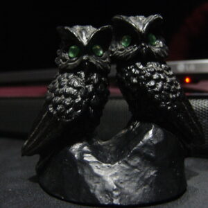 Shadow Owl Spirit Familiar Attached The Wicked Ones Piercing Gaze