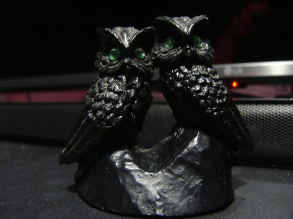 Shadow Owl Spirit Familiar Attached The Wicked Ones Piercing Gaze